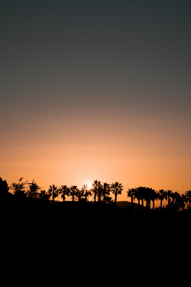 Tropical Sunset Palms by Henrike Schenk — canvas wall art
