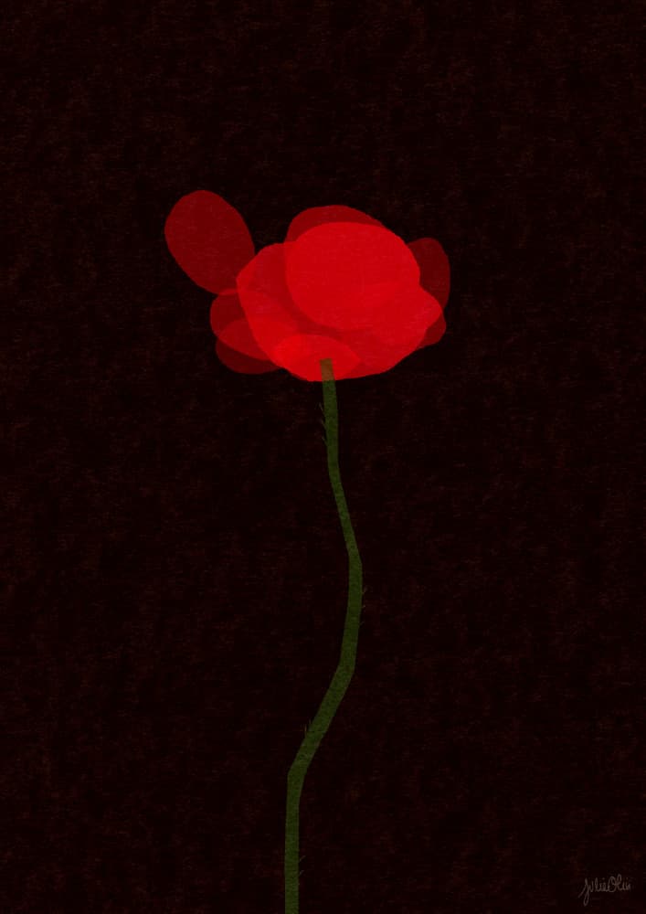 Red Poppy on Dark by Julie Olivi — canvas wall art