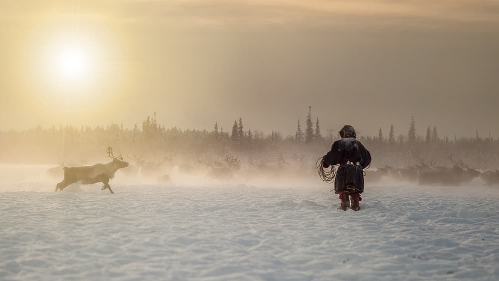 Reindeer Herder In Winter by Marcel Rebro — canvas wall art