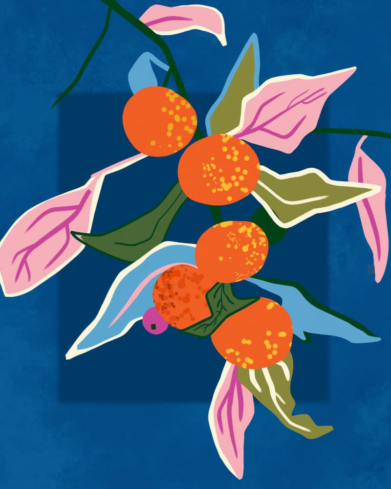 Vibrant Orange Fruits by Kintsugi99 — canvas wall art