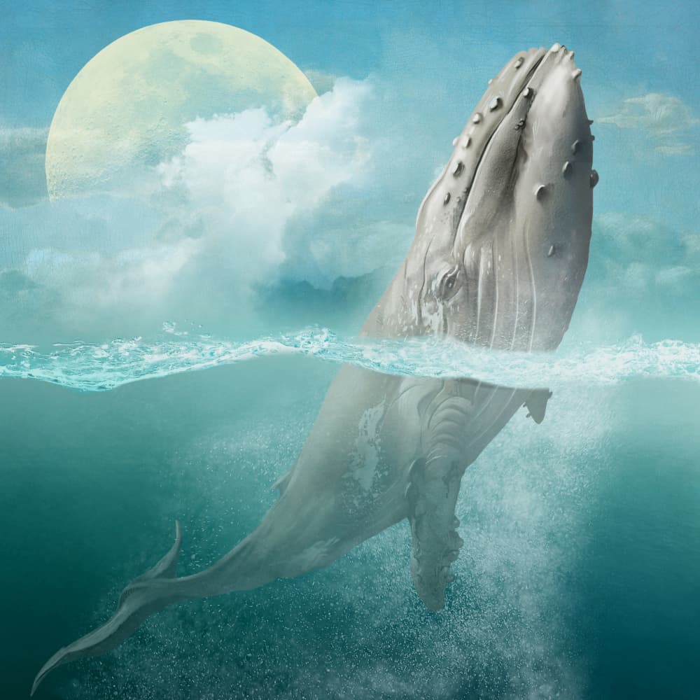 Dreamy Whale Moonlight by Marja van den Hurk — canvas wall art