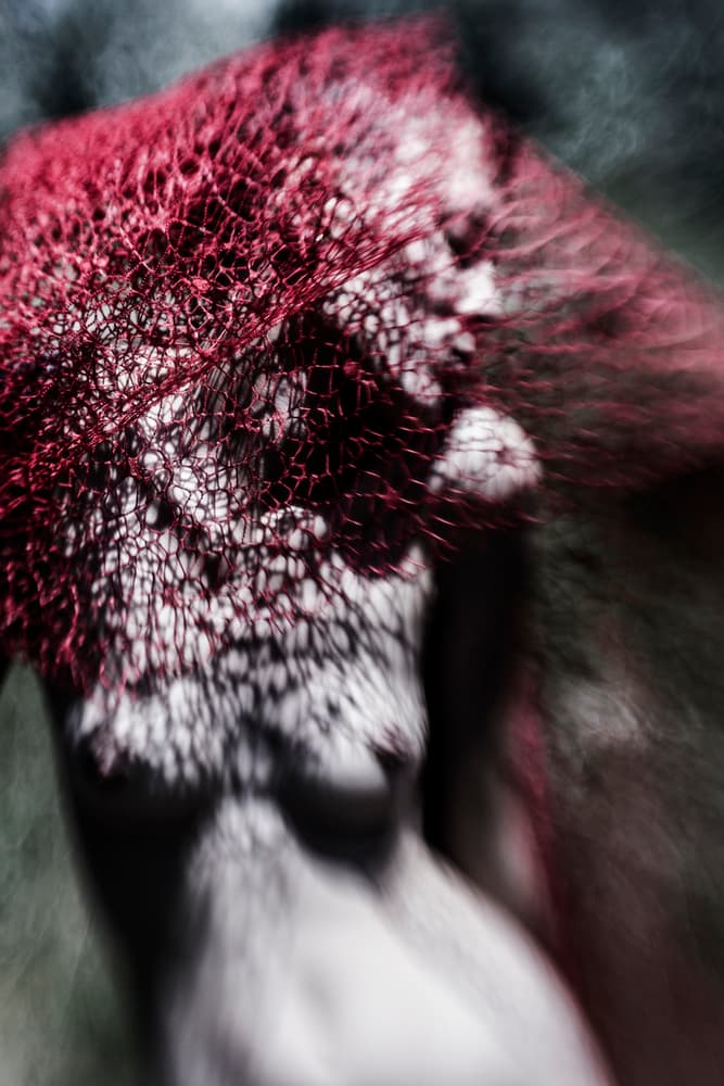 Sensual Red Mesh by Bogdan Bouşcă — canvas wall art