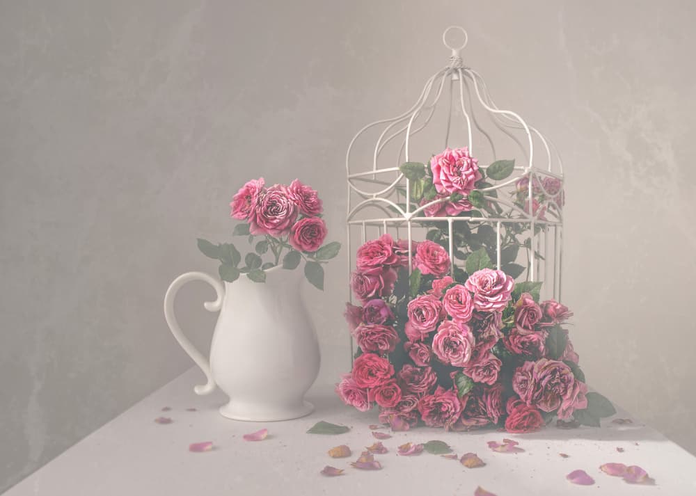 Roses and Birdcage by Margareth Perfoncio — canvas wall art