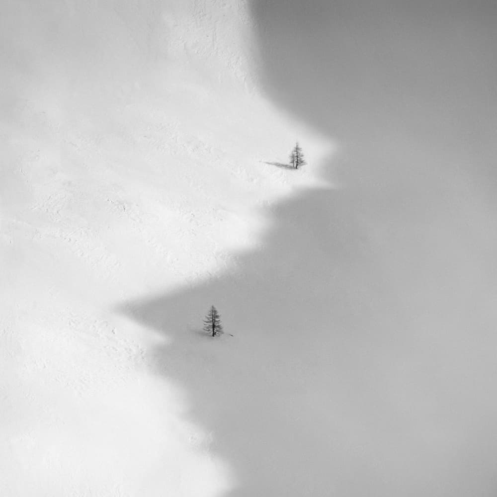 Two Trees Winter Snow by Peter Svoboda MQEP — canvas wall art
