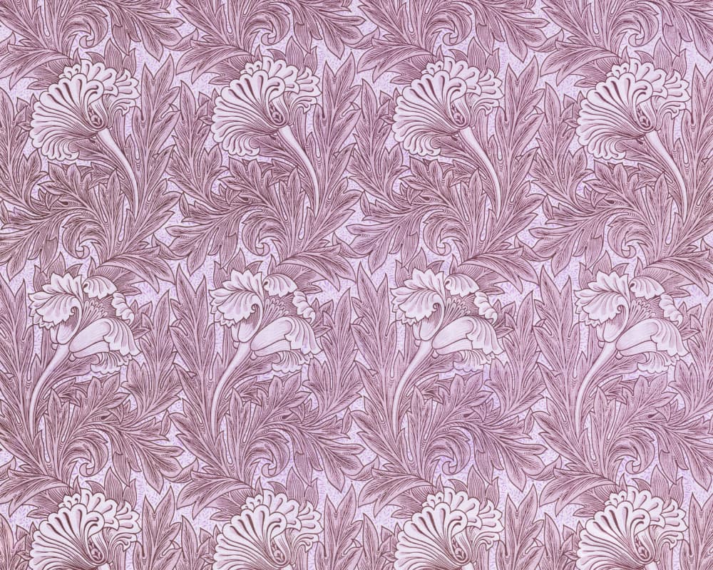 Purple Tulip by William Morris — canvas wall art