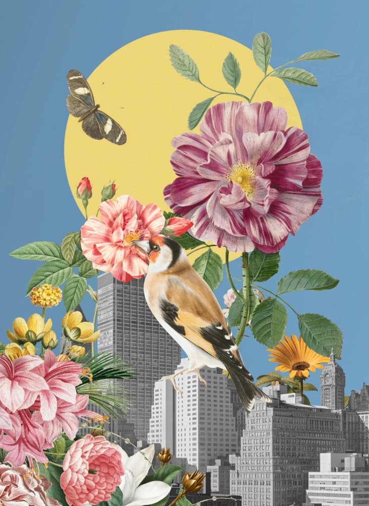 Goldfinch City Blooms by Marja van den Hurk — canvas wall art