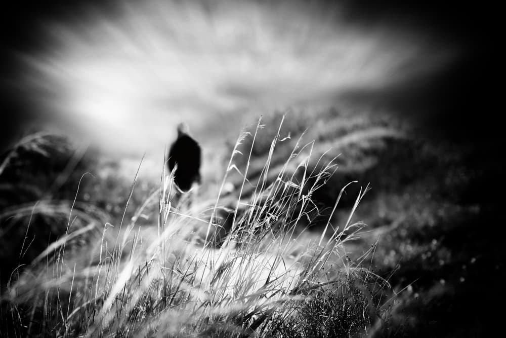 Mysterious Lone Figure by Ina Tänzer — canvas wall art