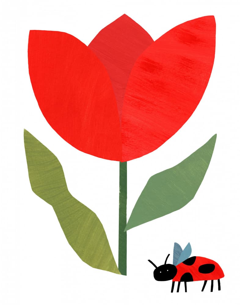 Red Tulip and Ladybug by Susan Black — canvas wall art