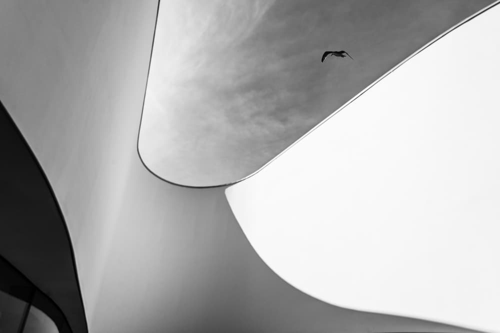 Abstract Architectural Flight by Luc Vangindertael (laGrange) — canvas wall art