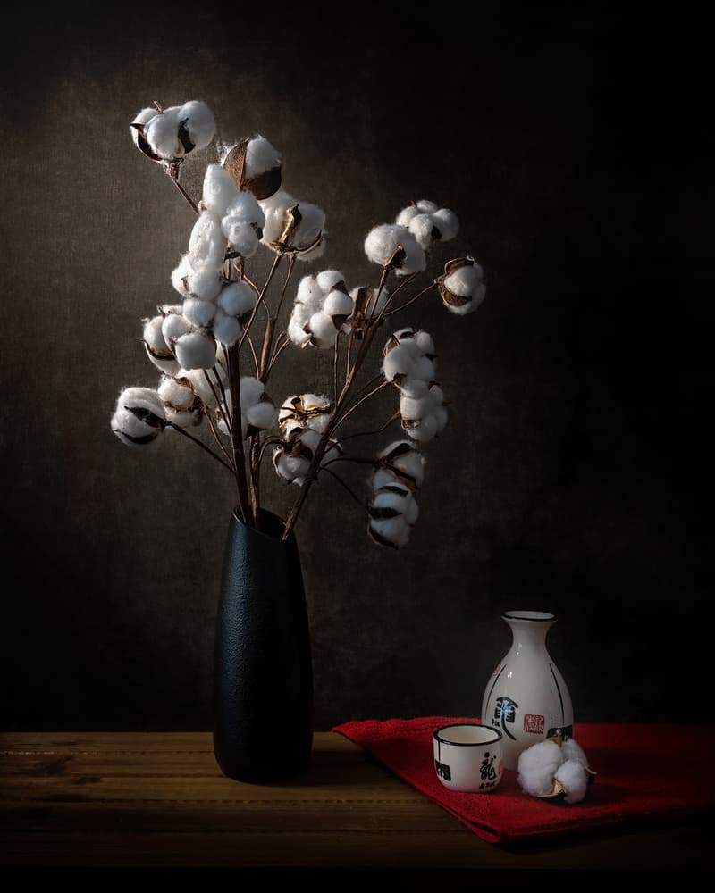 Serene Cotton and Sake by Annie Poreider — canvas wall art