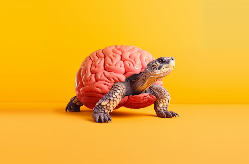 Brainy Tortoise by Artem Pozdniakov — canvas wall art