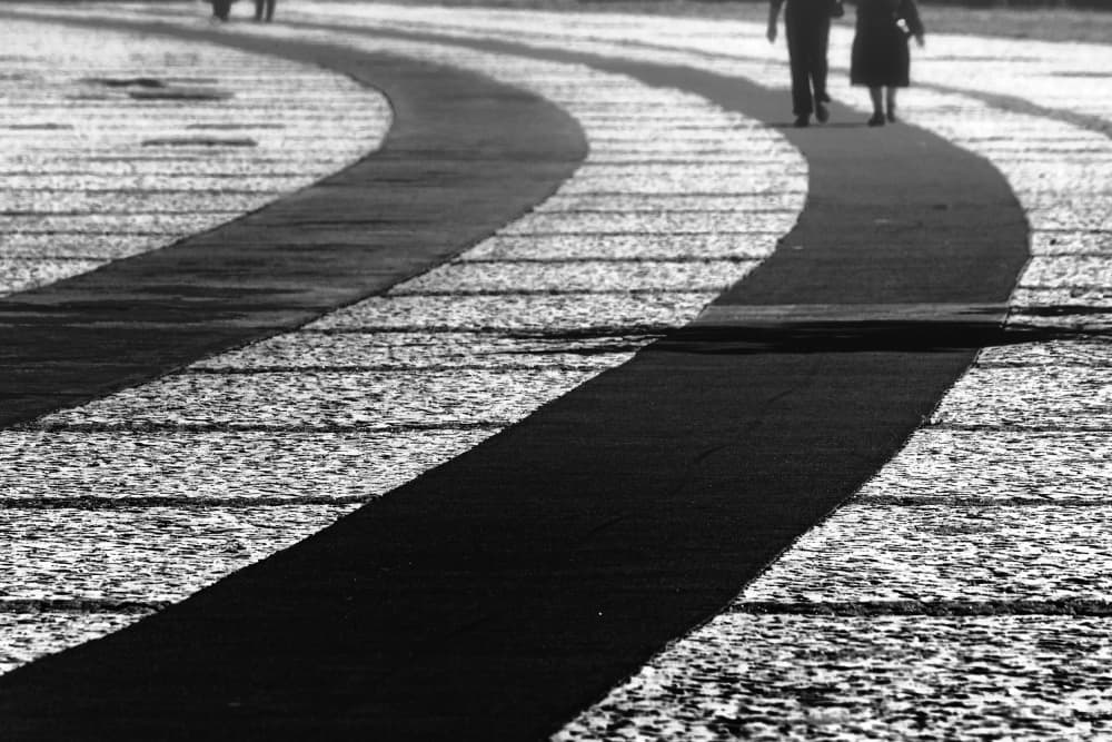 Path of Shadows by Laura Mexia — canvas wall art