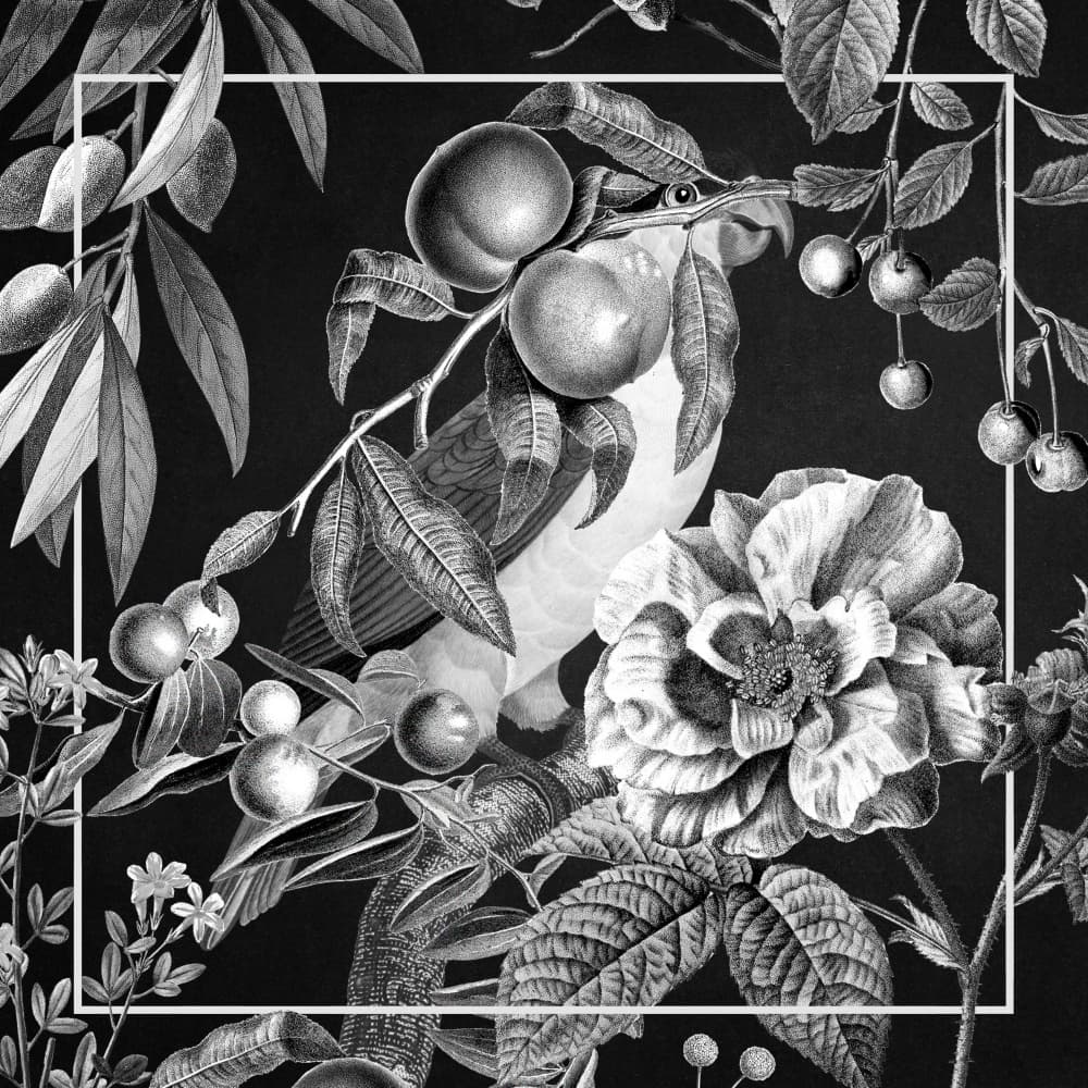 Exotic Botanical Bird by Marja van den Hurk — canvas wall art