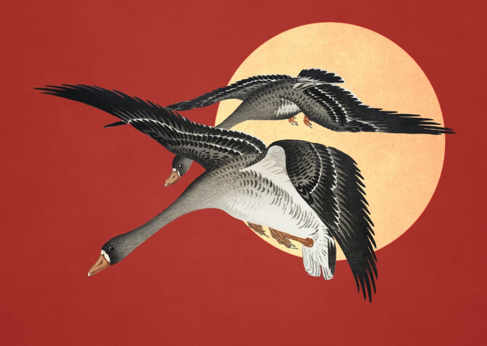 Red Sun Geese Flight by Marja van den Hurk — canvas wall art