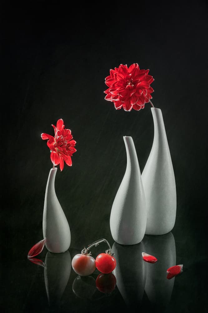 Red Dahlias and Vases by Lydia Jacobs — canvas wall art