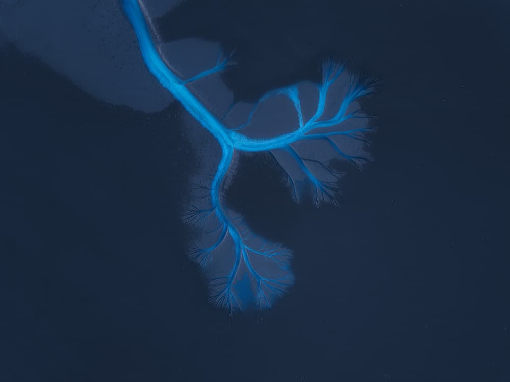Blue River Delta by NingYun Ye — canvas wall art