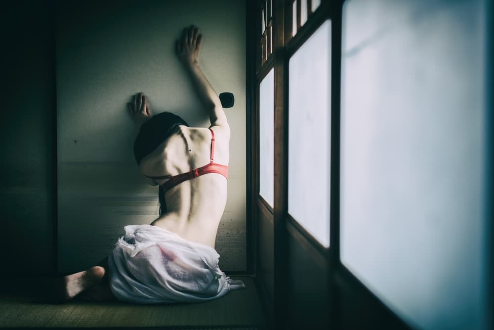Window Light Reverie by Daisuke Kiyota — canvas wall art