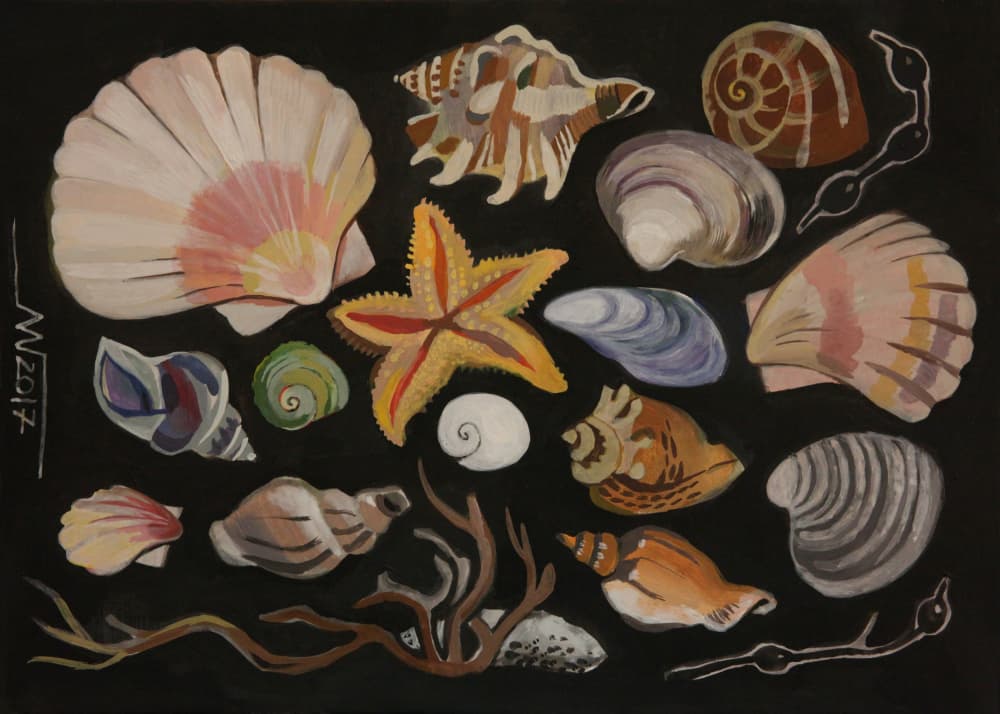 Seashell Collection by Marina Gorkaeva — canvas wall art