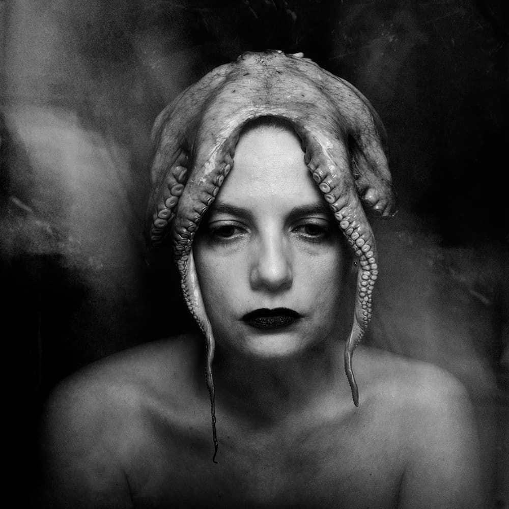 Mysterious Octopus Portrait by Alexandra Fira — canvas wall art