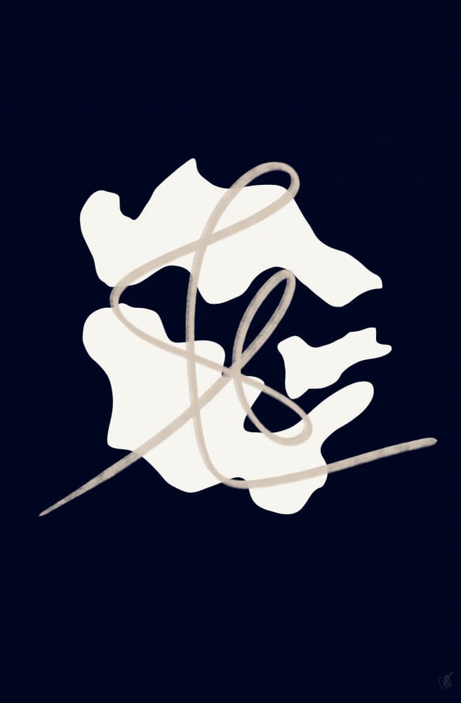 Elegant Fluid Forms by Anne-Marie Volfova — canvas wall art