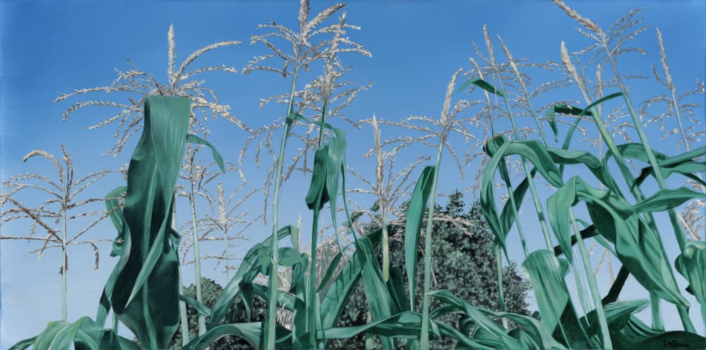 Cooley's Corn by Duane A. Brown — canvas wall art