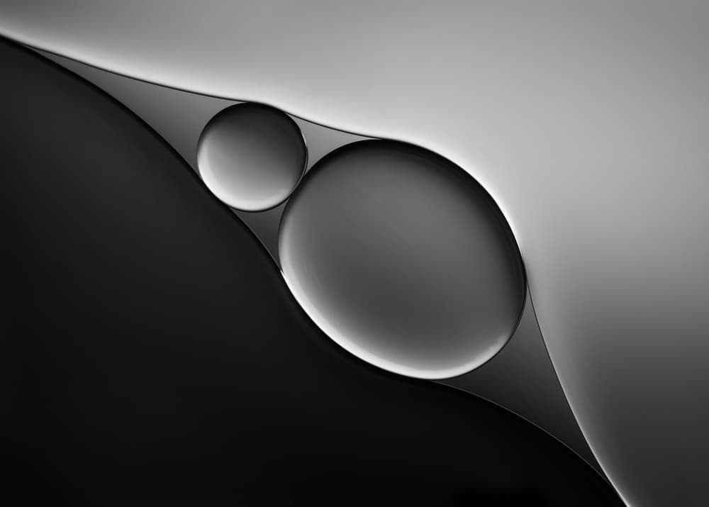 Monochrome Circles Abstract by Jacqueline Hammer — canvas wall art