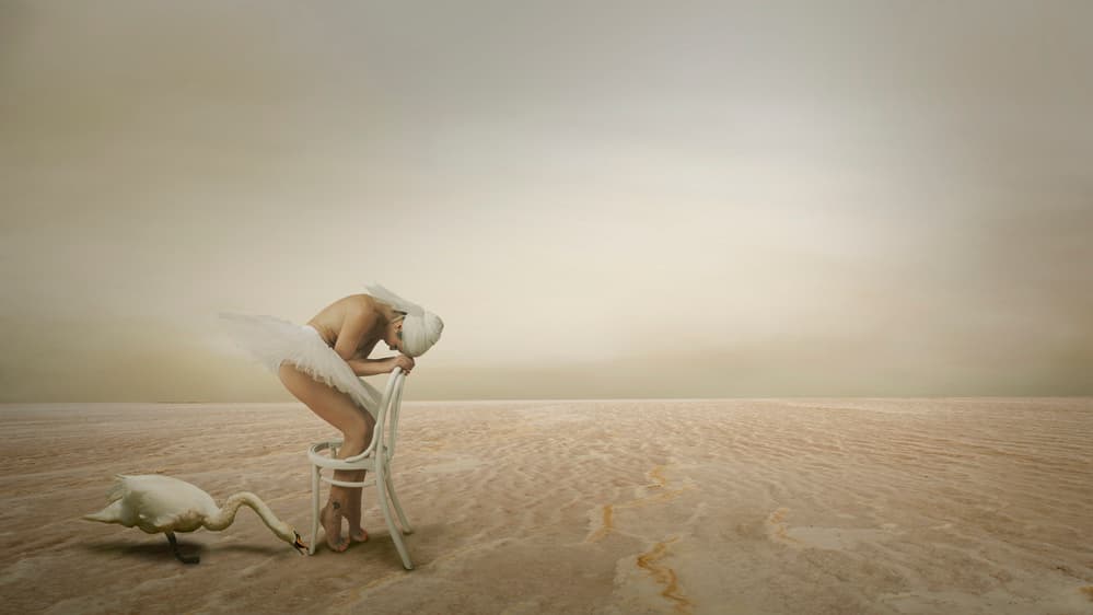 Swan Dancer Solitude by Christine von Diepenbroek — canvas wall art