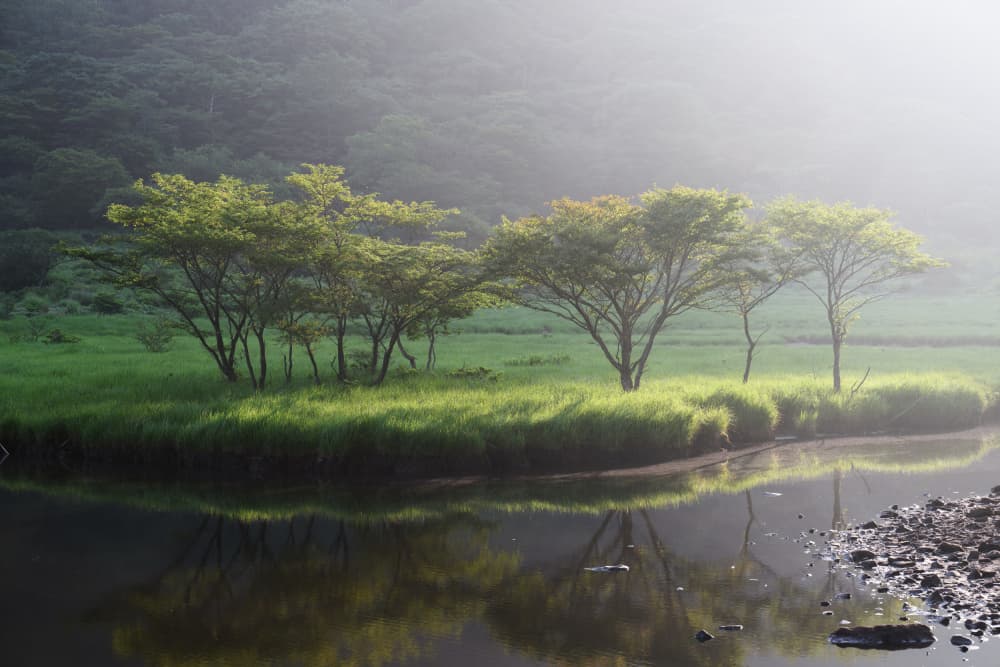 Misty Morning River by K_Tsunoda — canvas wall art