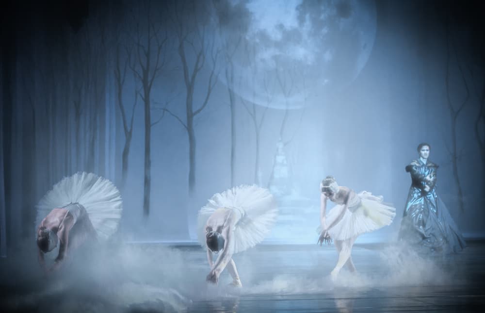 Mystical Moonlight Ballet by Peet van den Berg — canvas wall art