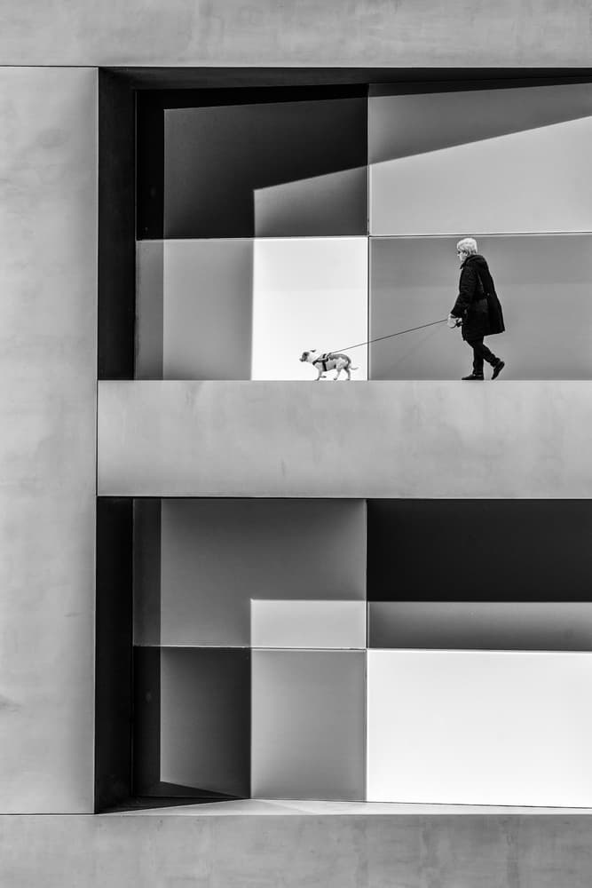 Geometric Dog Walk by Luc Vangindertael (laGrange) — canvas wall art