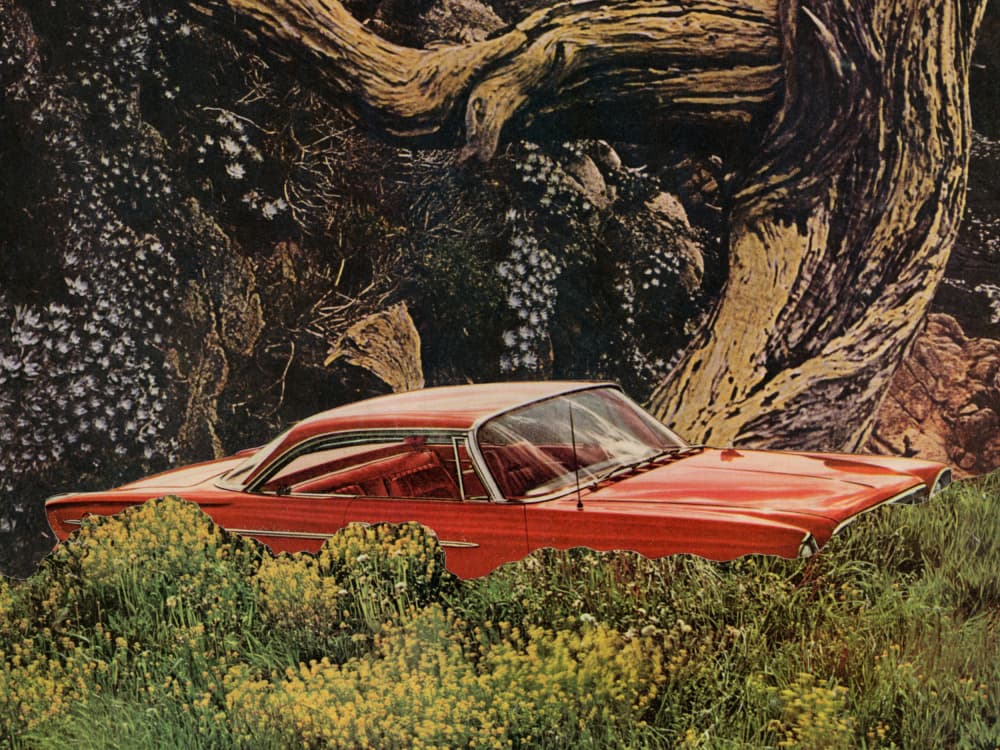 Vintage Car Wild Nature by Mikhail Siskoff — canvas wall art
