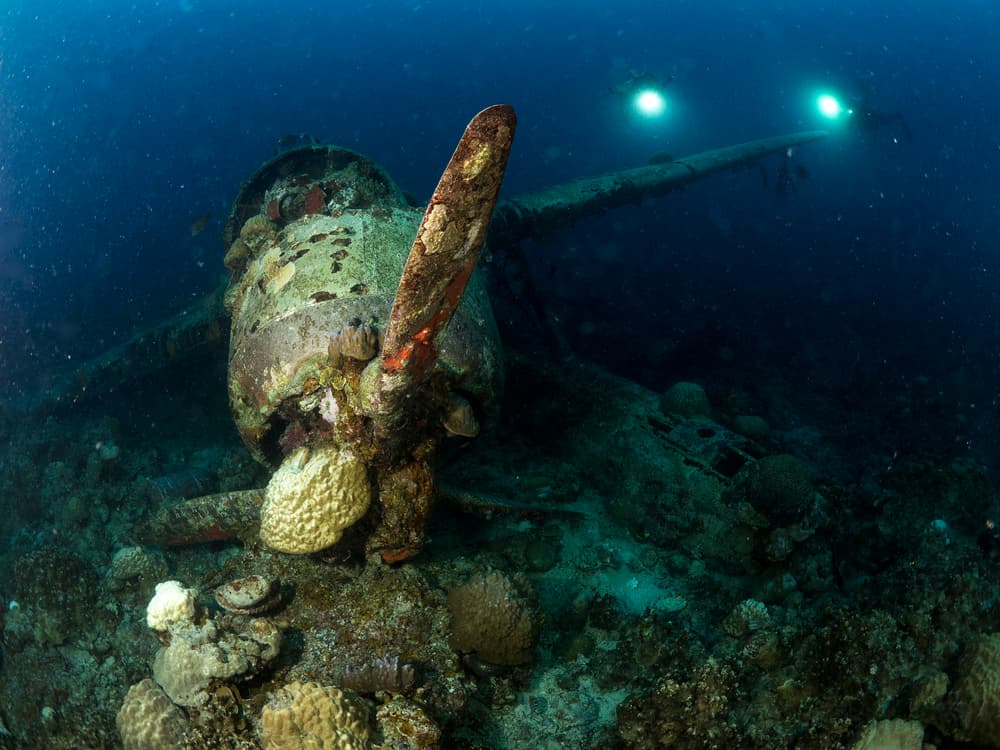 Sunken Aircraft Propeller by Ilan Ben Tov — canvas wall art
