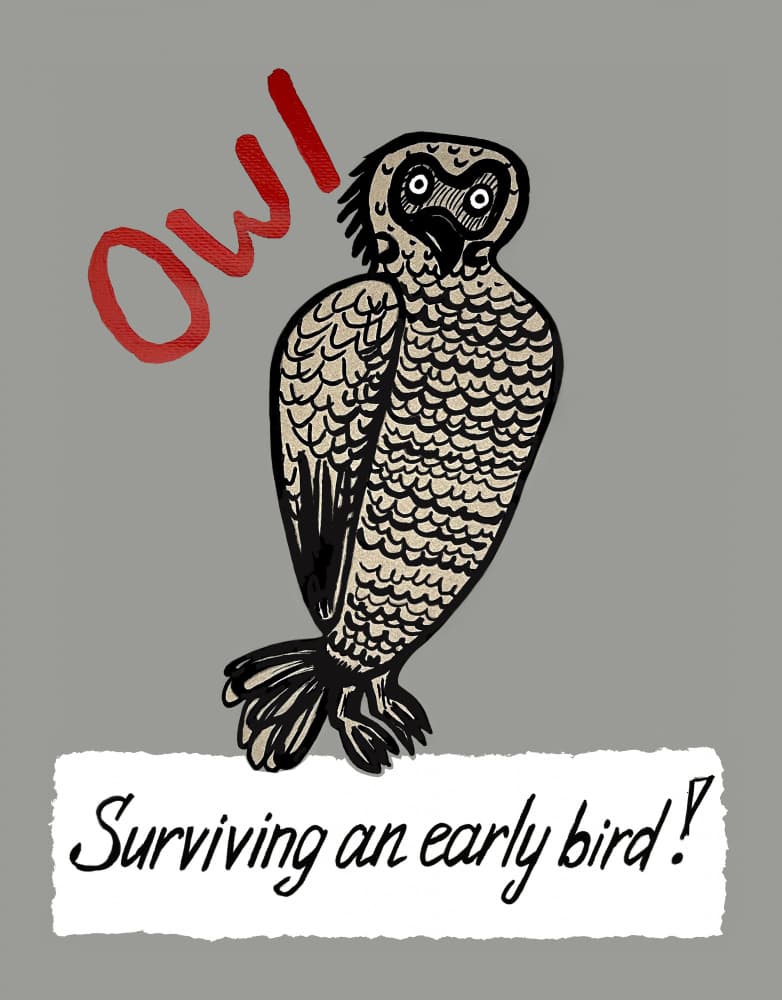 Ow! Early Bird Owl by Marina Kozyr — canvas wall art