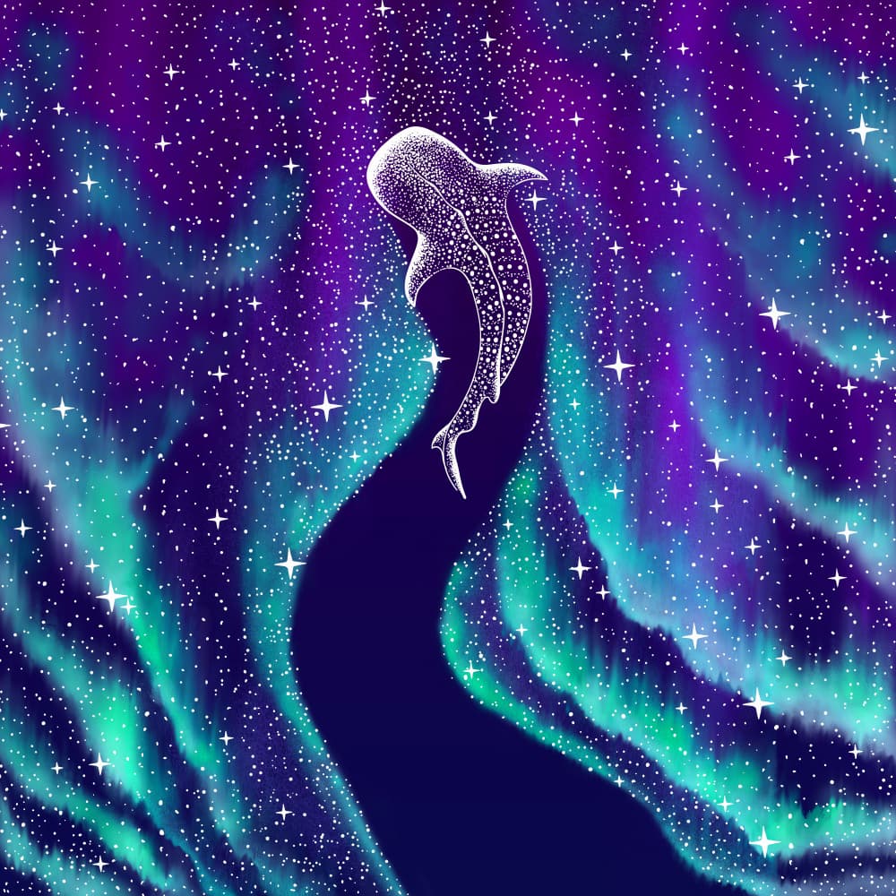 Celestial Whale Shark by Alirıza ÇAKIR — canvas wall art