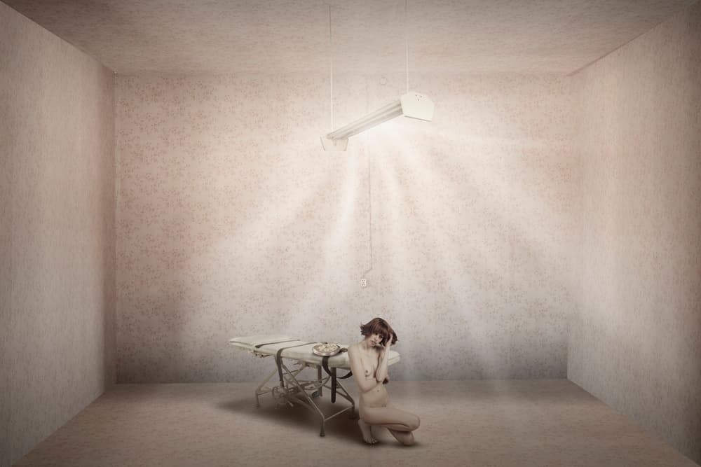 Isolated Room Nude by Christine von Diepenbroek — canvas wall art