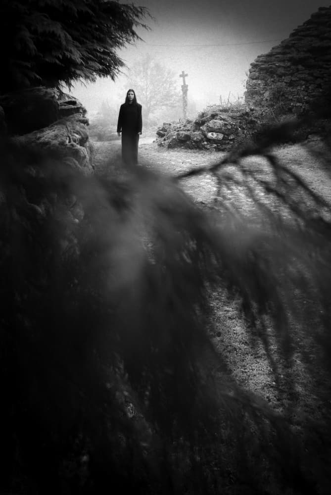 Haunting Misty Path by Milena Seita — canvas wall art