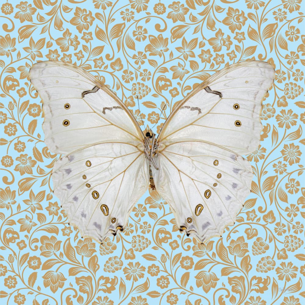 White Butterfly Gold Pattern by Sue Skellern — canvas wall art