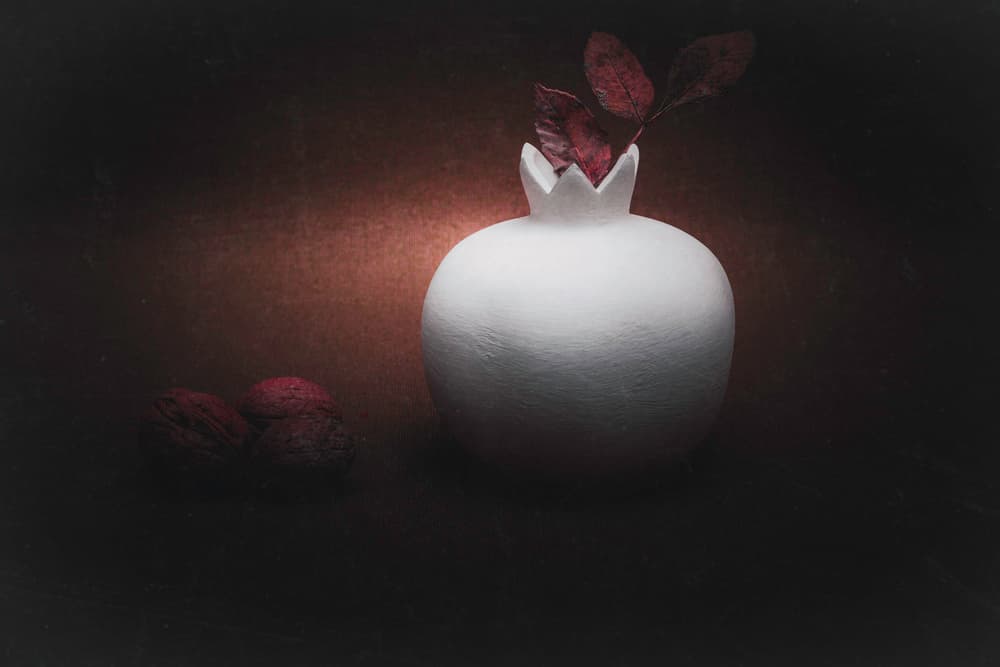 Moody Pomegranate Still Life by Cicek Kiral — canvas wall art