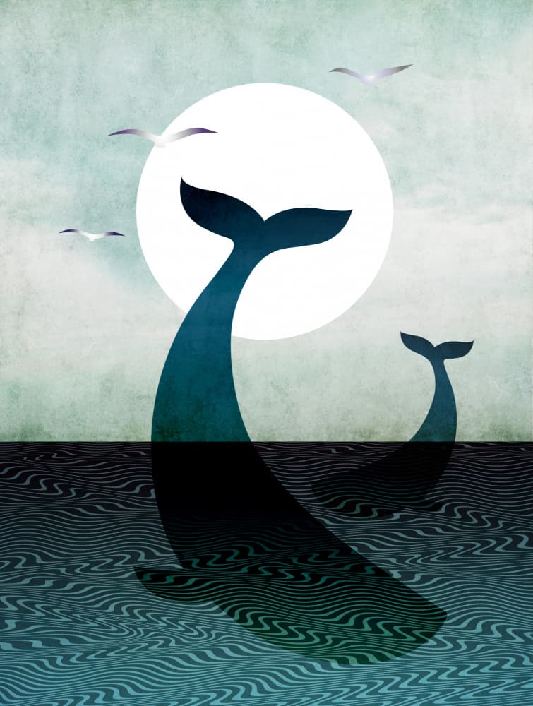 Whale Tails Moonlight by Angelo Cerantola — canvas wall art
