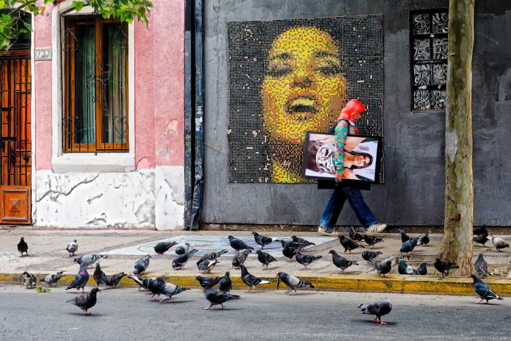 Golden Face Street Pigeons by Michel Groleau — canvas wall art