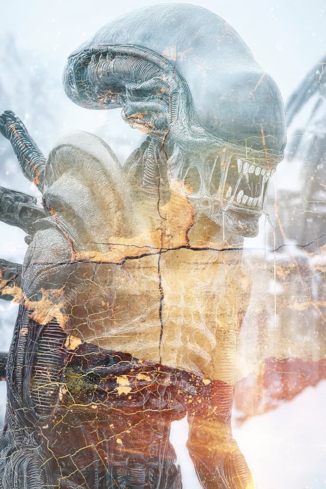 Cracked Winter Creature by Rafal Kulik — canvas wall art