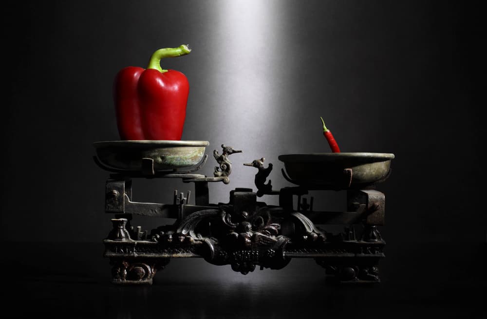 Pepper Scale Still Life by Victoria Glinka — canvas wall art