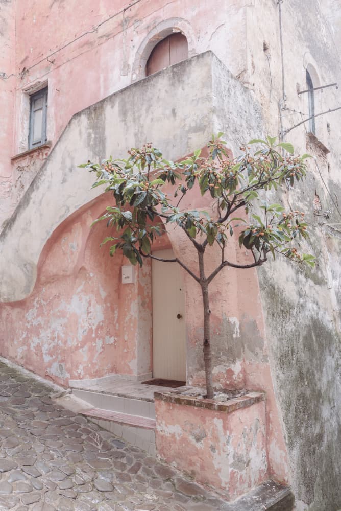 Faded Pink House by Photolovers — canvas wall art
