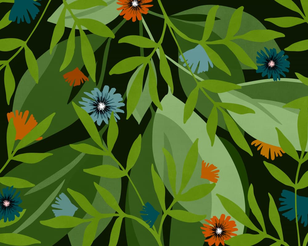 Greenhouse At Night Wide by Kristian Gallagher — canvas wall art