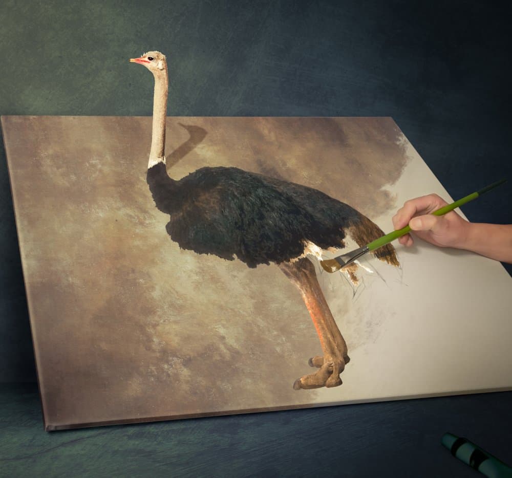 Ostrich Painting Illusion by Biao Huang — canvas wall art
