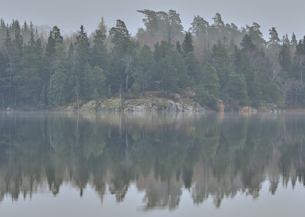 Tranquil Forest Reflections by Hamed Bank — canvas wall art