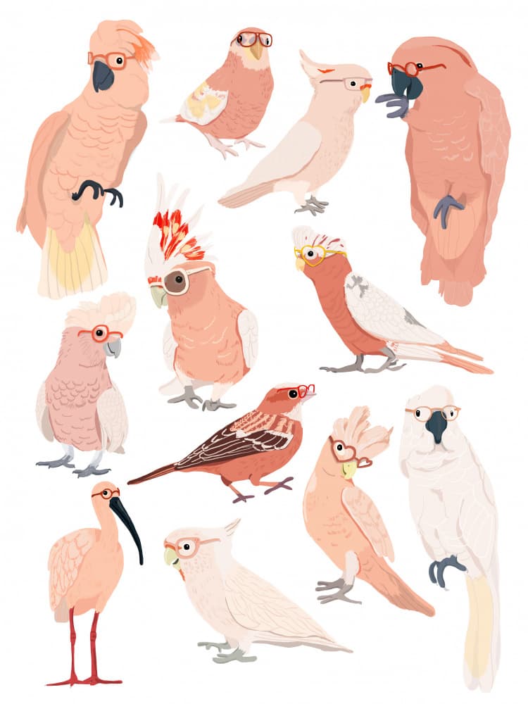 Whimsical Birds with Glasses by Hanna Melin — canvas wall art