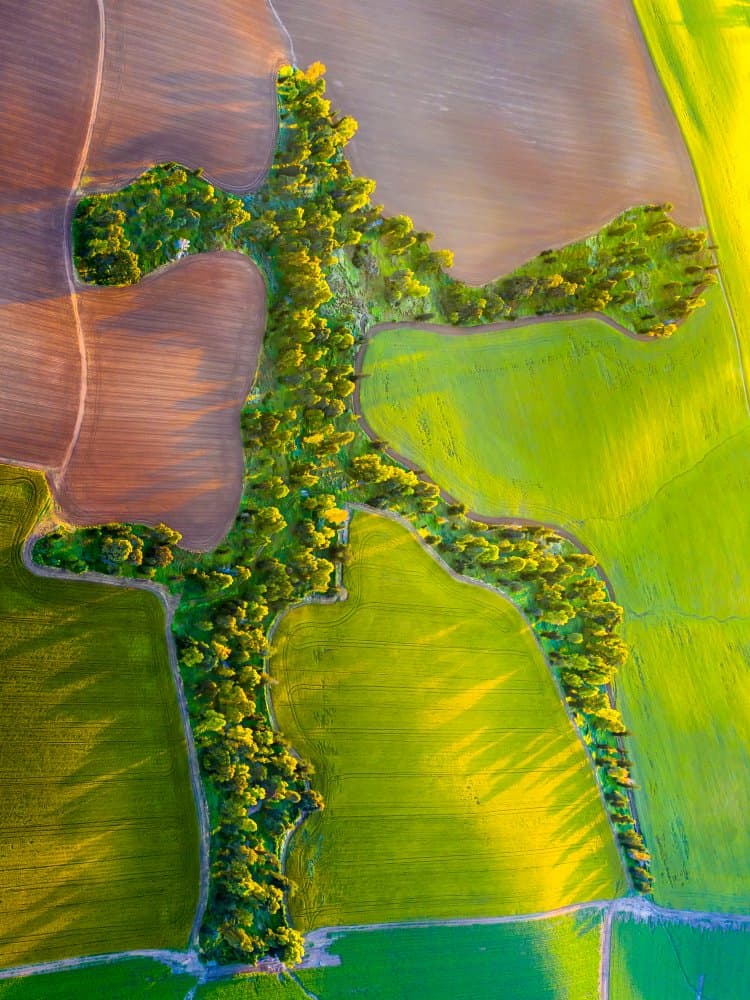 Aerial Running Figure by Gilad Topaz — canvas wall art