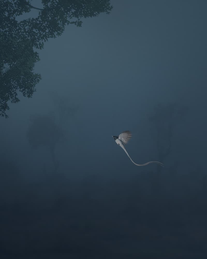 Graceful Bird Misty Flight by Jayanta Guha — canvas wall art