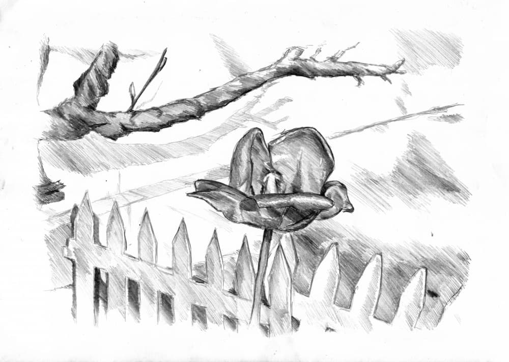 Springtime Flower and Fence by Kulik — canvas wall art